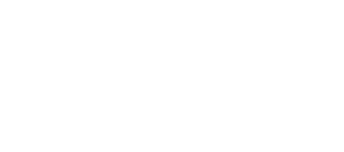Figueiredo & Lopes Advogados