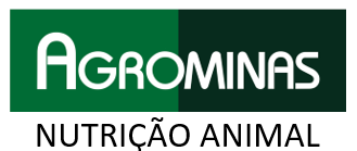 logo horiz